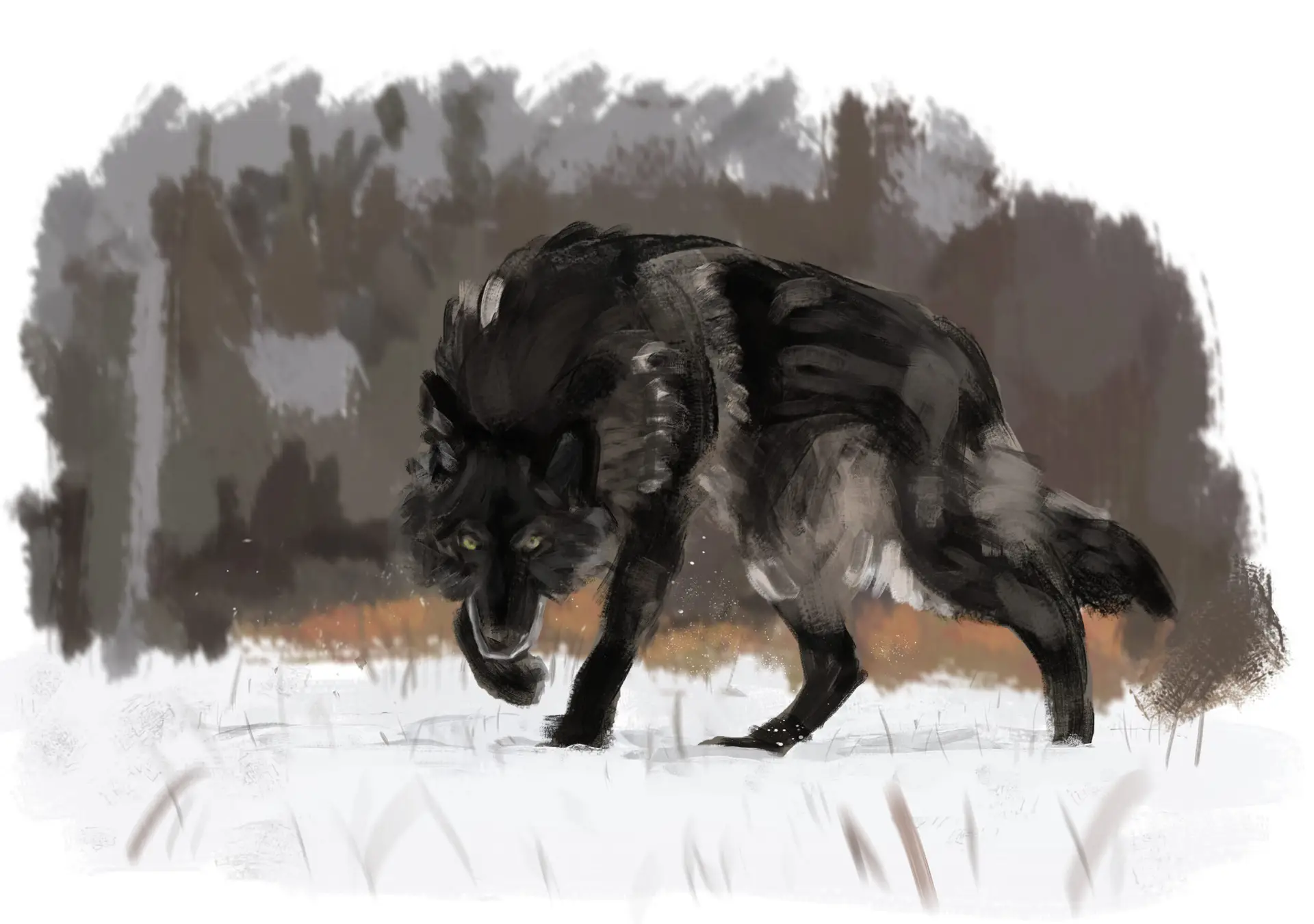 wolfstudy